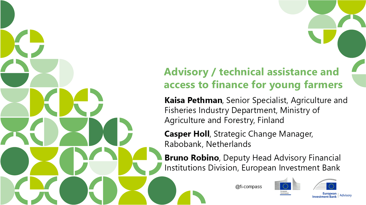 Advisory/technical assistance and access to finance for young farmers