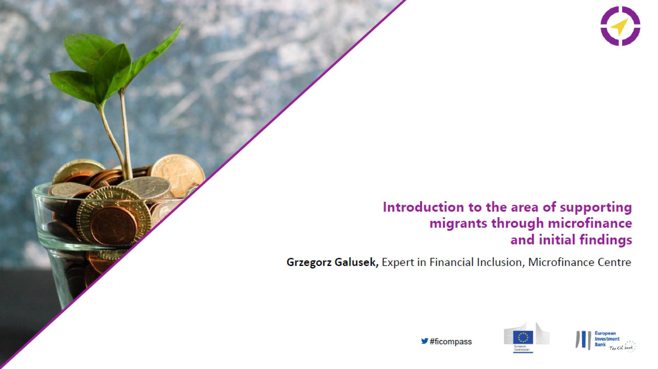 Introduction to the area of supporting migrants through microfinance and initial findings